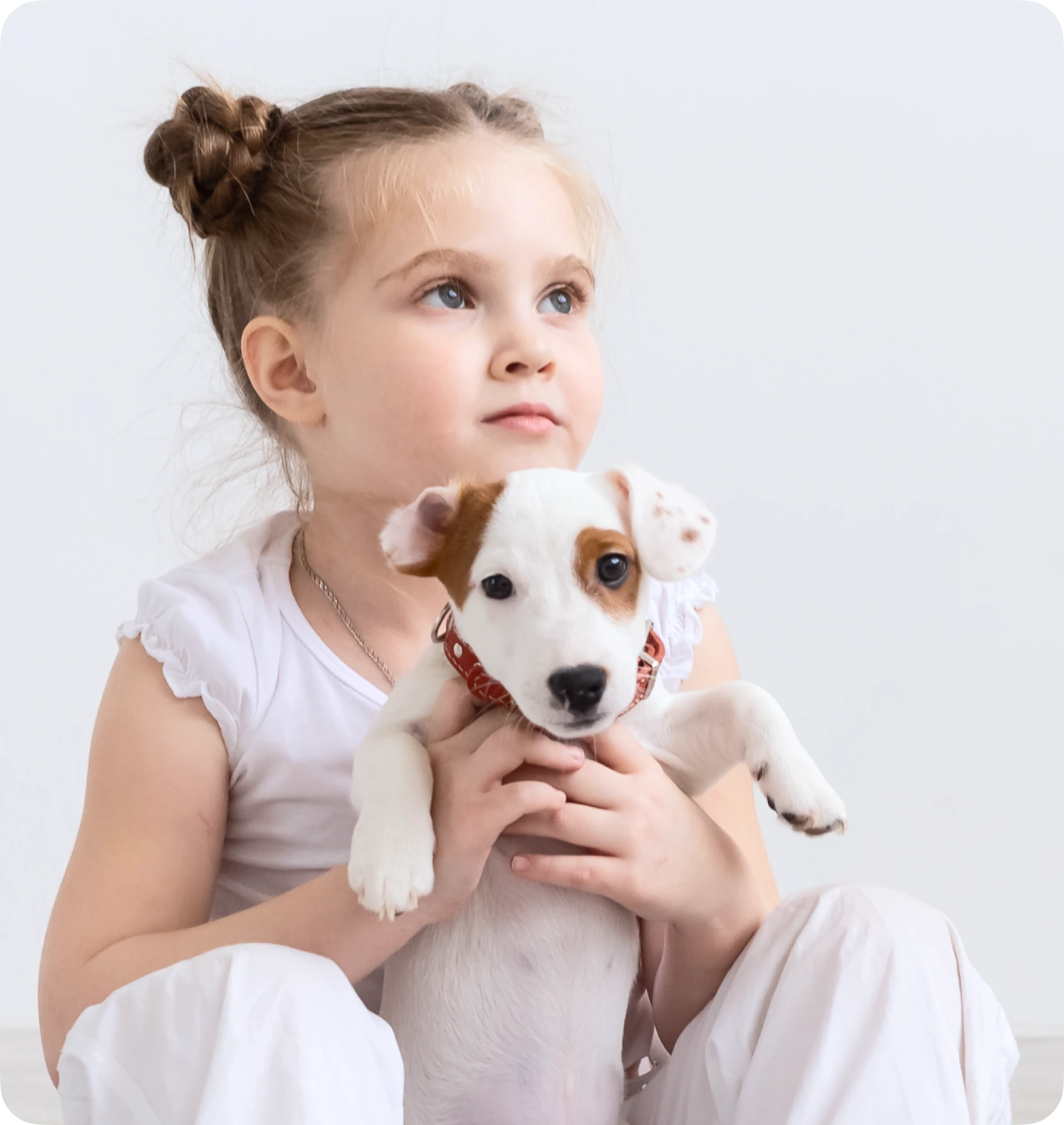 Learn More about our Puppy Programs