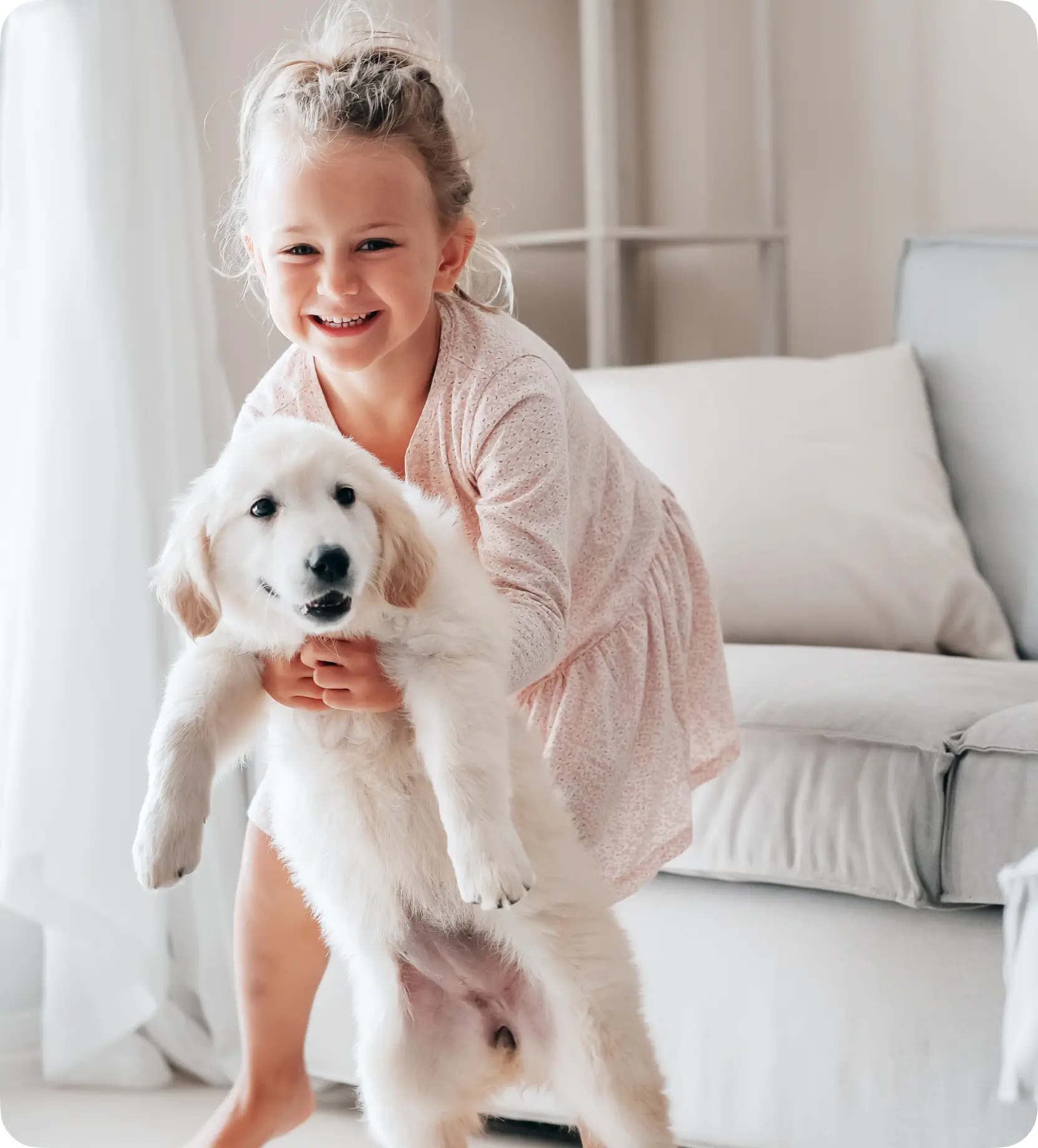 About Fashionable Pets