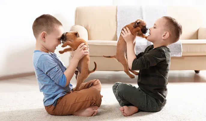 Learn More about Fashionable Pets Puppies