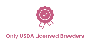 Fashionable Pets only uses USDA Licensed Breeders