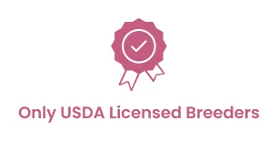 Fashionable Pets only uses USDA Licensed Breeders