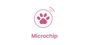 Each Fasionable Pets Puppy comes Microchipped