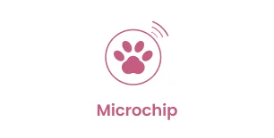 Each Fasionable Pets Puppy comes Microchipped